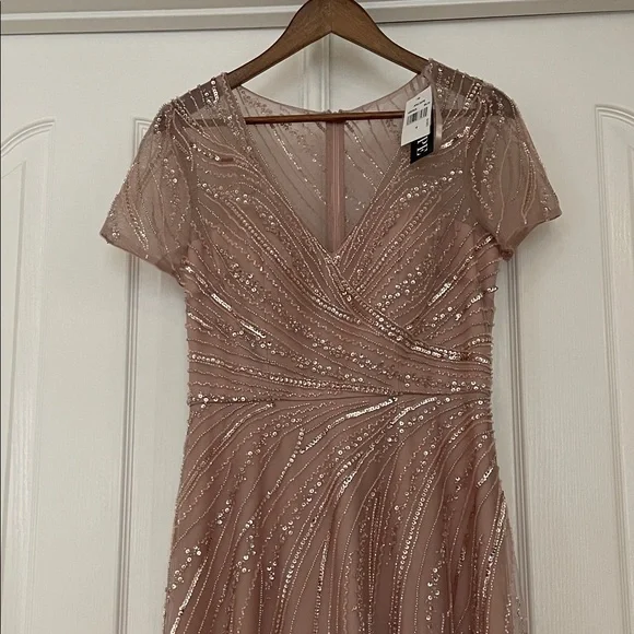 NWT $379 Xscape [ 6 ] V Neck Beaded Chiffon A Line Gown In Blush Pink - Picture 4 of 10